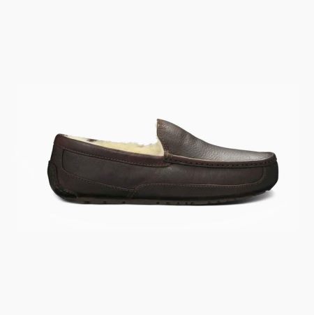 UGG Ascot Leather Brown Slippers for Men (MWAE79512)